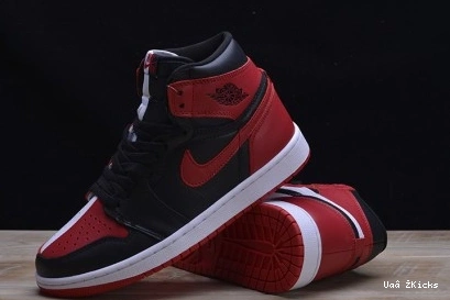 JORDAN 1 RETRO Flexible AIR 285 1106